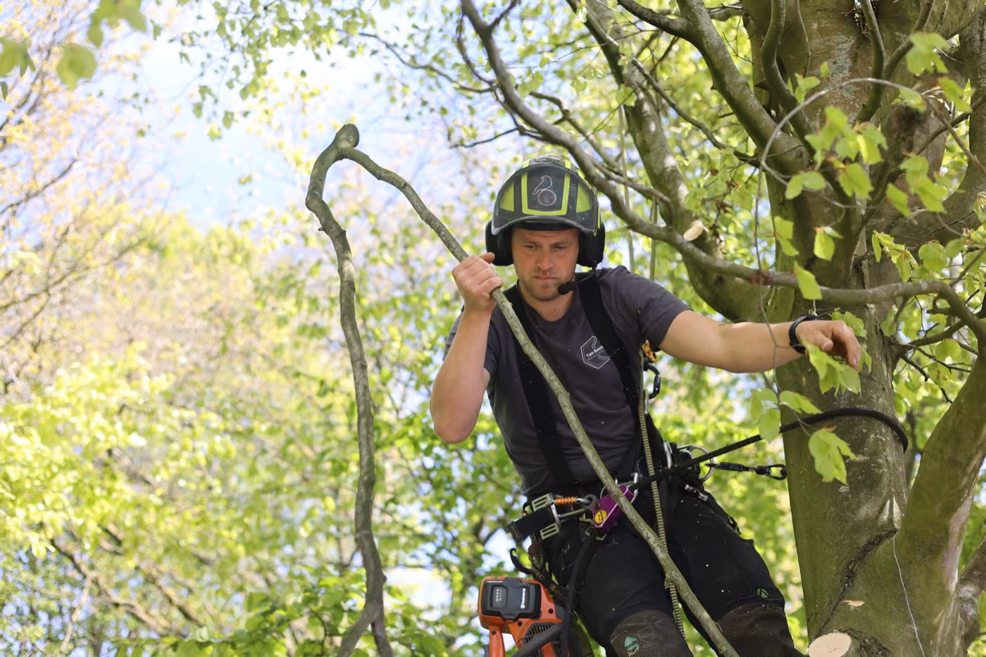 Boomverzorger in klimuitrusting werkt hoog in een boom